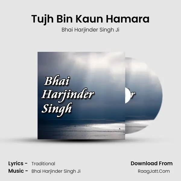 Tujh Bin Kaun Hamara MP3 Song by Bhai Harjinder Singh Ji Cover