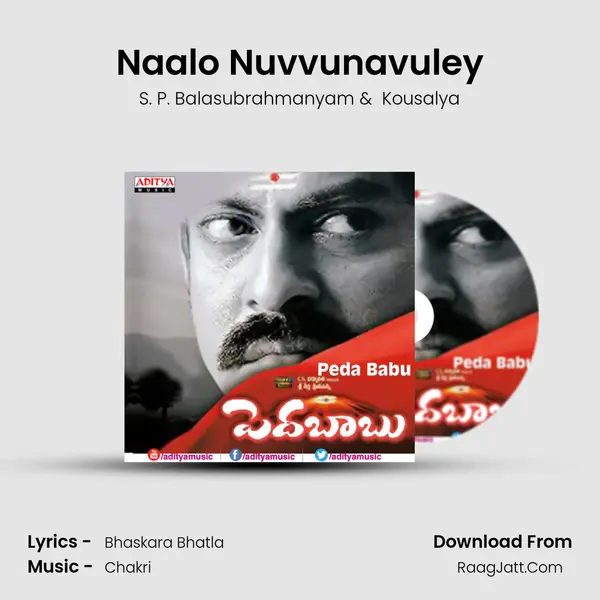 Naalo Nuvvunavuley MP3 Song by S. P. Balasubrahmanyam Cover