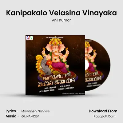 Kanipakalo Velasina Vinayaka - 