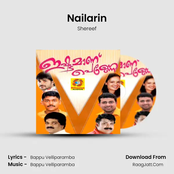 Nailarin Cover