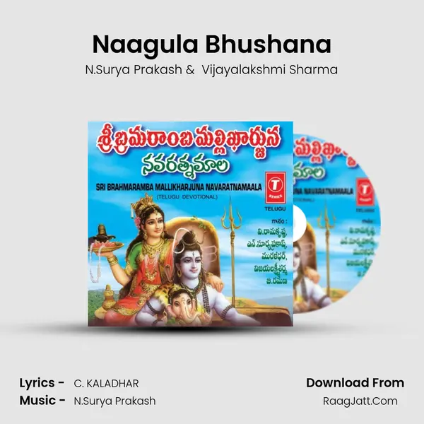 Naagula Bhushana MP3 Song by N.Surya Prakash Cover