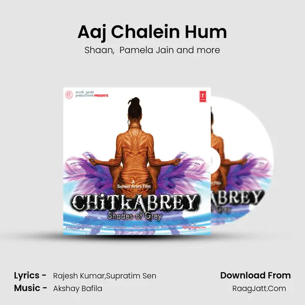 Aaj Chalein Hum MP3 Song by Shaan Cover