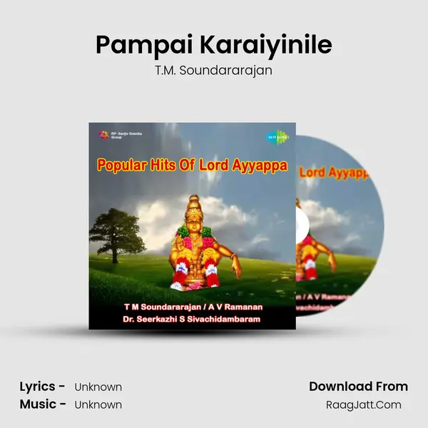 Pampai Karaiyinile MP3 Song by T.M. Soundararajan Cover