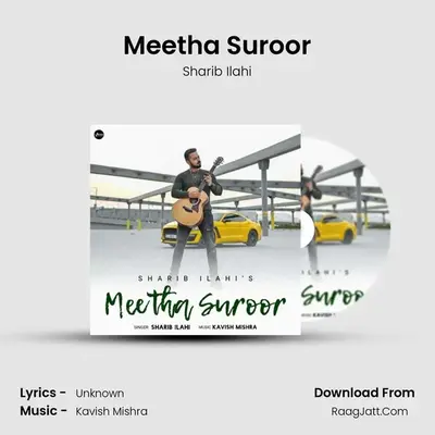 Meetha Suroor Cover