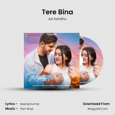 Tere Bina MP3 Song by Ad Sandhu Cover