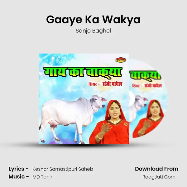 Gaaye Ka Wakya - Sanjo Baghel