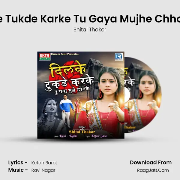 Dilke Tukde Karke Tu Gaya Mujhe Chhodke mp3 song