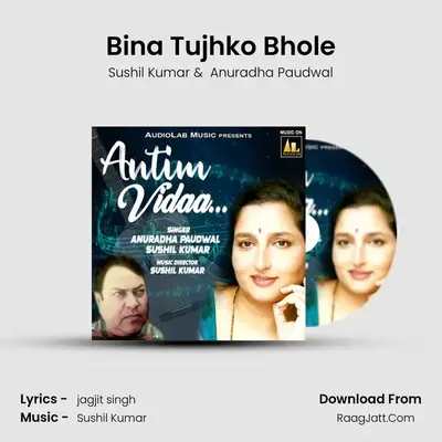 Bina Tujhko Bhole MP3 Song by Sushil Kumar Cover