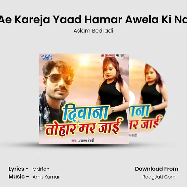 Ae Kareja Yaad Hamar Awela Ki Na MP3 Song by Aslam Bedradi Cover