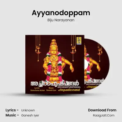 Ayyanodoppam MP3 Song by Biju Narayanan Cover