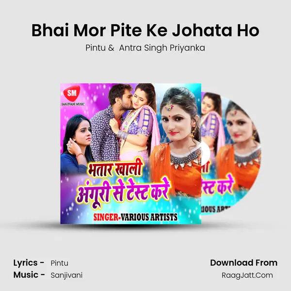 Bhai Mor Pite Ke Johata Ho MP3 Song by Pintu Cover