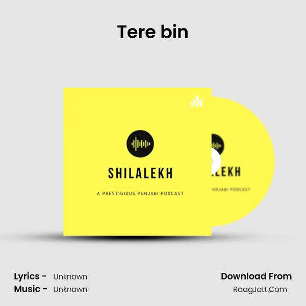 Tere bin MP3 Song by  Cover