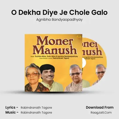 O Dekha Diye Je Chole Galo MP3 Song by Agnibha Bandyaopadhyay Cover