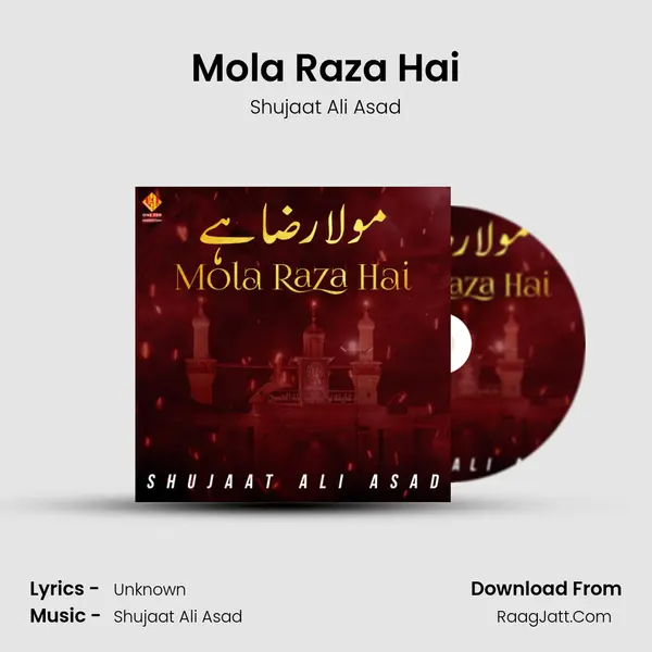 Mola Raza Hai MP3 Song by Shujaat Ali Asad Cover