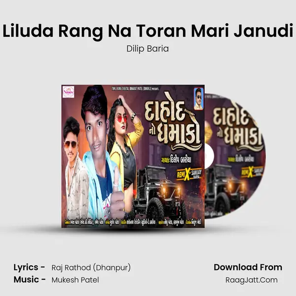 Liluda Rang Na Toran Mari Janudi MP3 Song by Dilip Baria Cover