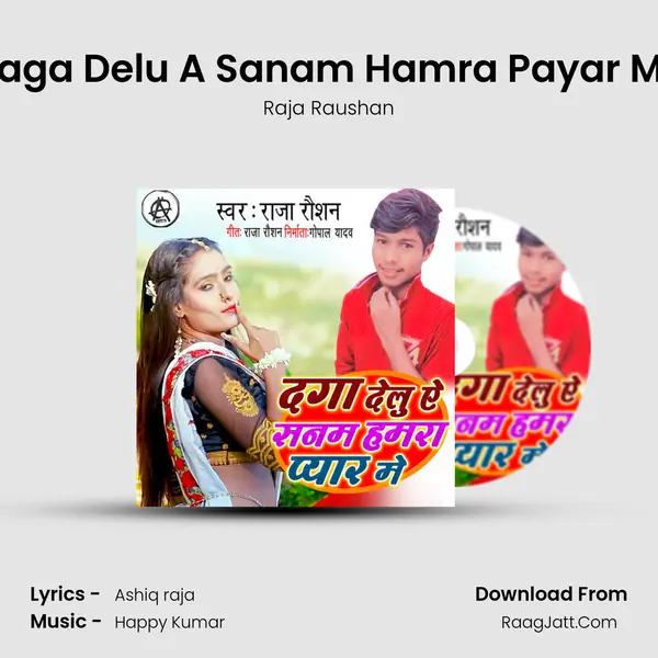 Daga Delu A Sanam Hamra Payar Me mp3 song