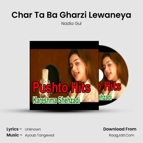 Char Ta Ba Gharzi Lewaneya MP3 Song by Nadia Gul Cover