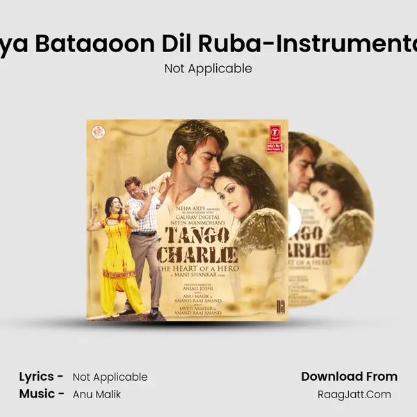 Kya Bataaoon Dil Ruba-Instrumental MP3 Song by Not Applicable Cover