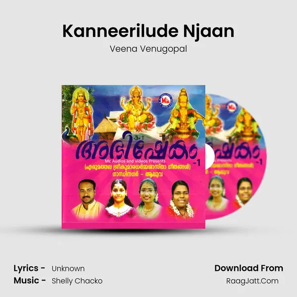 Kanneerilude Njaan MP3 Song by Veena Venugopal Cover