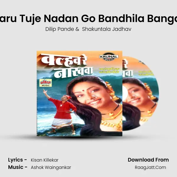 Paaru Tuje Nadan Go Bandhila Bangala MP3 Song by Dilip Pande Cover