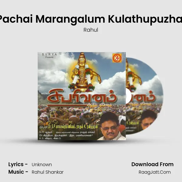 Pachai Marangalum Kulathupuzhai MP3 Song by Rahul Cover