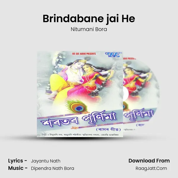 Brindabane jai He MP3 Song by Nitumani Bora Cover