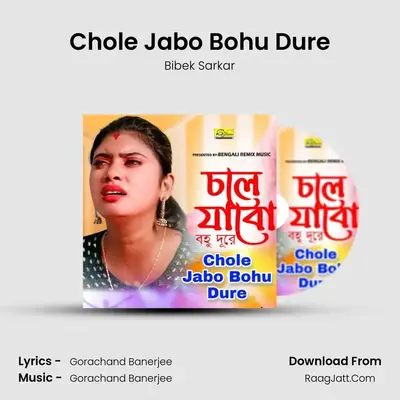 Chole Jabo Bohu Dure - Bibek Sarkar