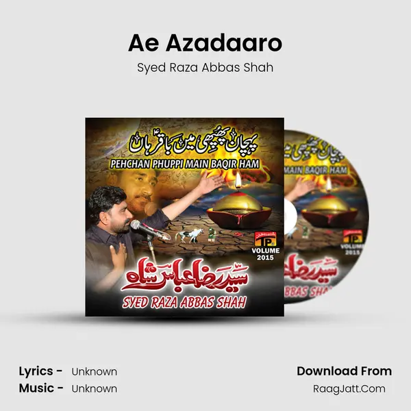 Ae Azadaaro MP3 Song by Syed Raza Abbas Shah Cover
