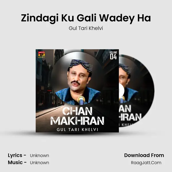 Zindagi Ku Gali Wadey Ha MP3 Song by Gul Tari Khelvi Cover