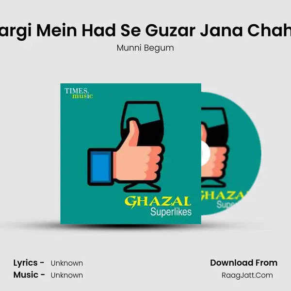 Awargi Mein Had Se Guzar Jana Chahiye Cover