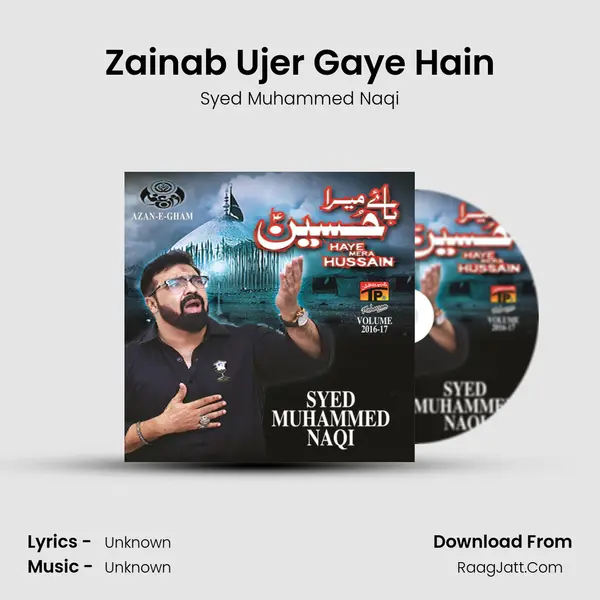 Zainab Ujer Gaye Hain MP3 Song by Syed Muhammed Naqi Cover