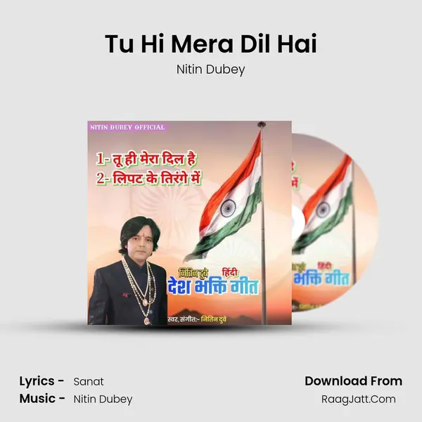 Tu Hi Mera Dil Hai mp3 song