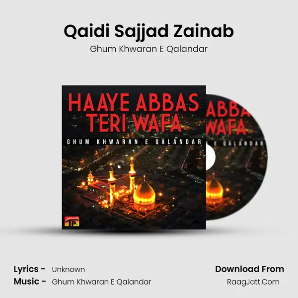 Qaidi Sajjad Zainab mp3 song