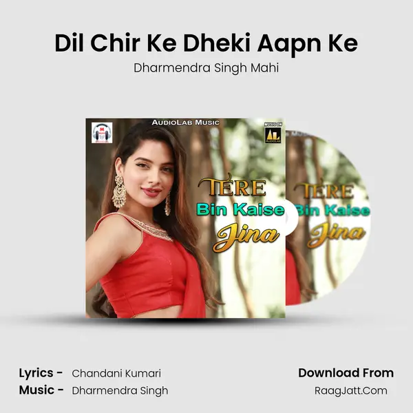 Dil Chir Ke Dheki Aapn Ke Cover