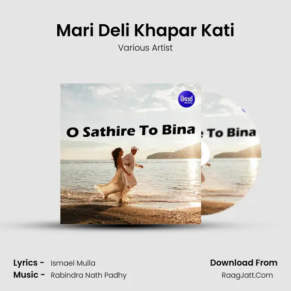 Mari Deli Khapar Kati MP3 Song by Various Artist Cover