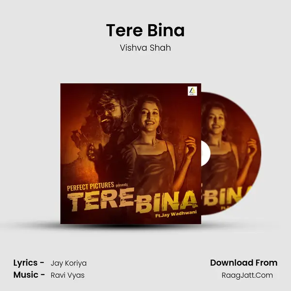 Tere Bina mp3 song