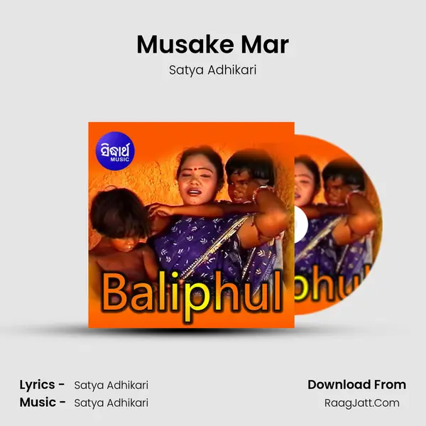 Musake Mar MP3 Song by Satya Adhikari Cover