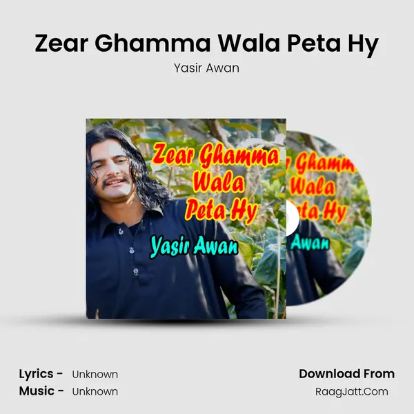 Zear Ghamma Wala Peta Hy - Single - 