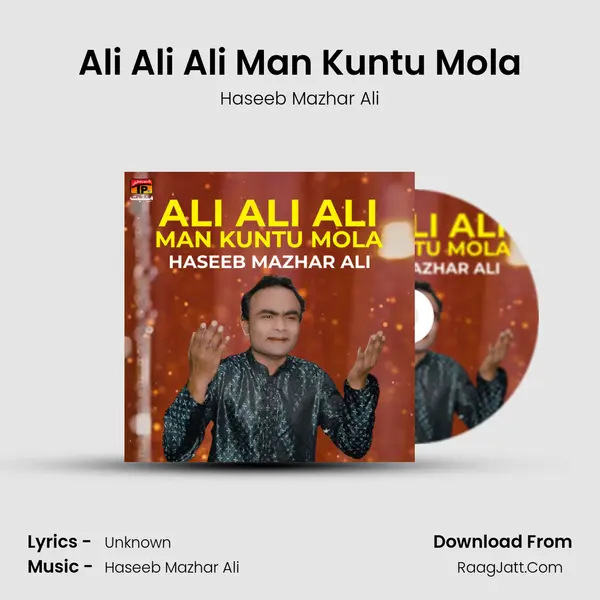 Haseeb Mazhar Ali