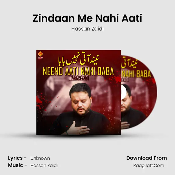 Hassan Zaidi