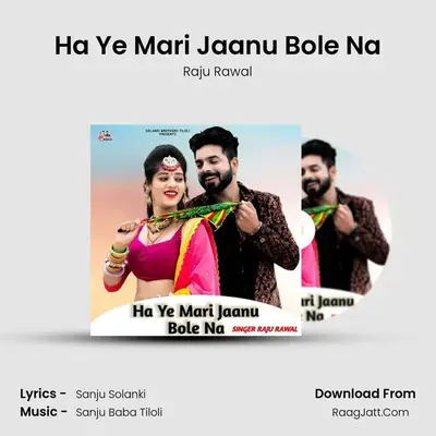 Ha Ye Mari Jaanu Bole Na - Raju Rawal