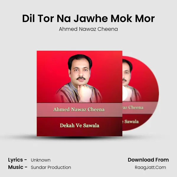Dil Tor Na Jawhe Mok Mor MP3 Song by Ahmed Nawaz Cheena Cover