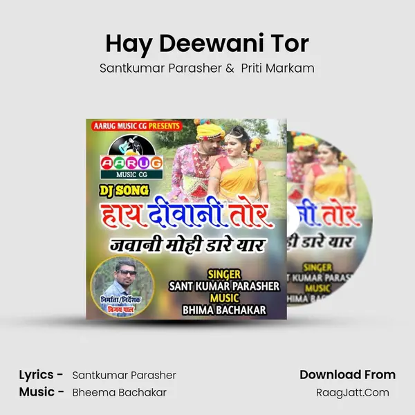 Hay Deewani Tor mp3 song