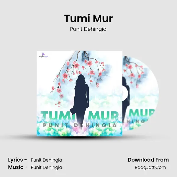 Tumi Mur MP3 Song by Punit Dehingia Cover