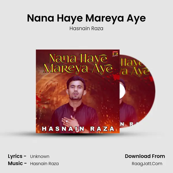 Nana Haye Mareya Aye MP3 Song by Hasnain Raza Cover