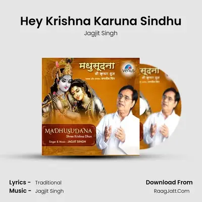 Hey Krishna Karuna Sindhu MP3 Song by Jagjit Singh Cover