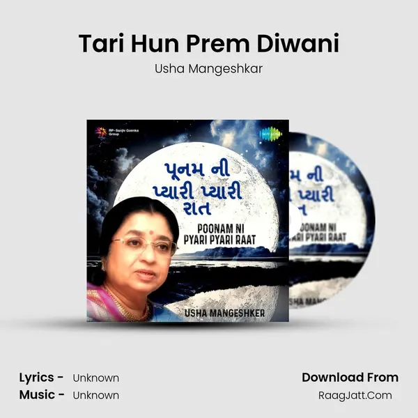 Tari Hun Prem Diwani Cover