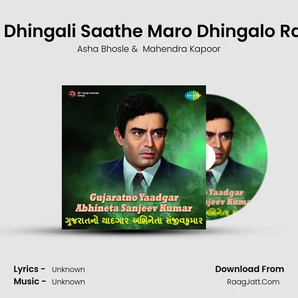 Tari Dhingali Saathe Maro Dhingalo Rame Cover