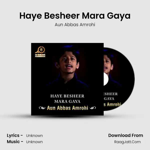 Haye Besheer Mara Gaya - Single - Aun Abbas Amrohi