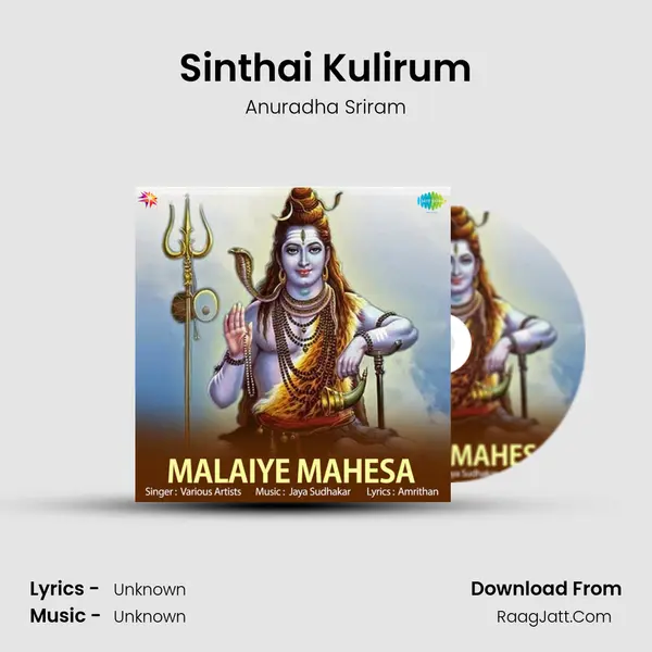 Sinthai Kulirum MP3 Song by Anuradha Sriram Cover
